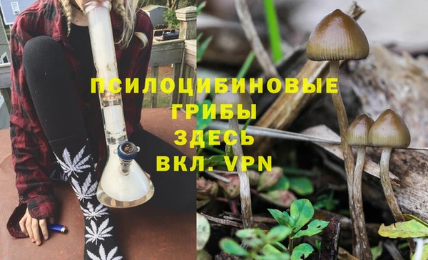 героин Осинники