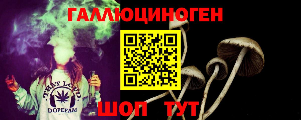 Шарыпово  Галлюциногенные грибы Psilocybe  Вход с VPN  Галлюциногенные грибы мицелий 