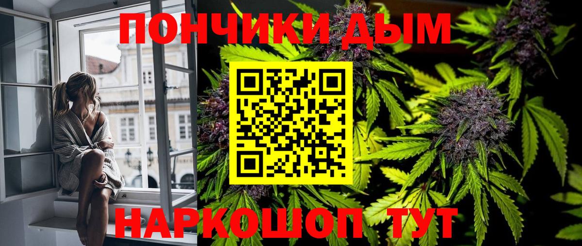 Каннабис план  Вход с VPN  Шарыпово  Бошки Шишки сатива 